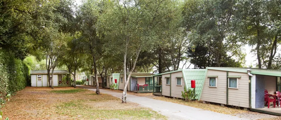 Camping As Cancelas