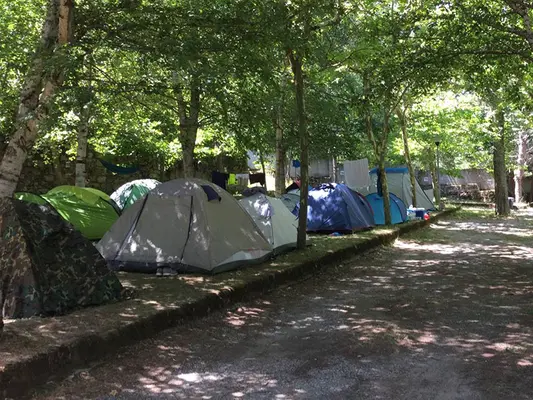 Camping Cinco Castaños