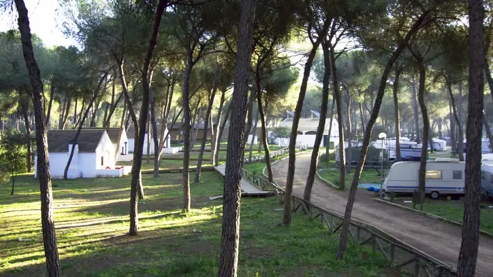 Camping Dehesa Nueva