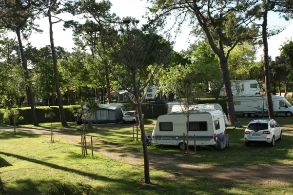 Camping El Rosal