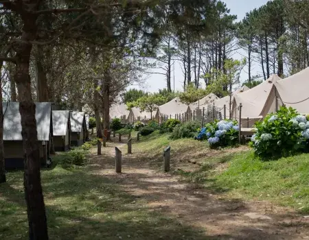 Camping Isla de Ons