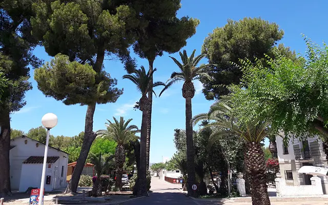 Camping L'Alqueria
