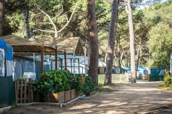 Camping L'Esplanada