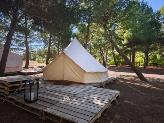 Camping Nature