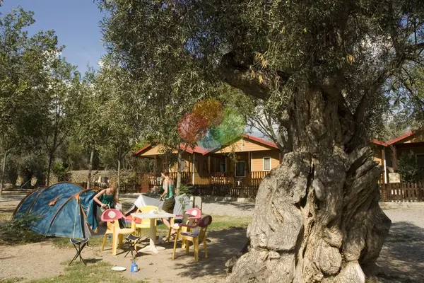 Camping Órgiva