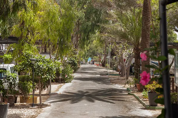 Camping Palm Mar