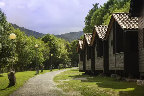 Camping Picos de Europa