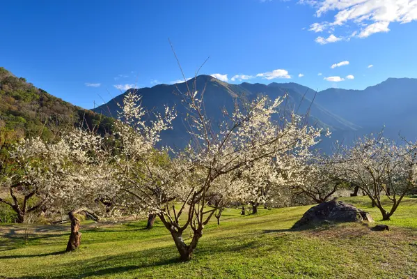 Camping Río Jerte
