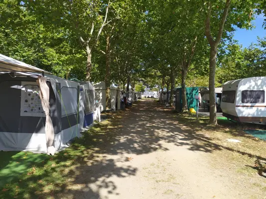 Camping Salinas